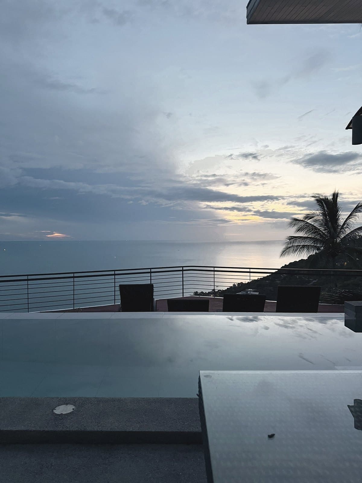 Infinity pool at dusk under heavy cloud, a palm silhouetted over the sea